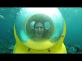 Great White Invasion - Paddling With a Shark