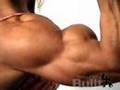 fbb biceps fashion