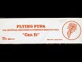 洋楽 FLYING PUPA Can It Flying Pupa - Can It (1998 / Hip Hop / EP) - YouTube
