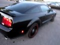 Mustang GT 2005 manual - For Sale 19 900