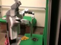 miniature