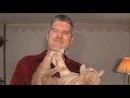 An Engineer's Guide to Cats