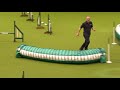 Rescue Dog Agility - Day Two - Crufts 2013