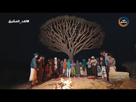مهرجان الشيخ زايد للتراث السقطري | أنواع الفن السقطري القديم.. الحلقة الكاملة (8 نوفمبر)
