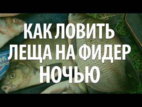 как ловит леш как ловит леш