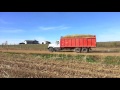 Forage Harvest