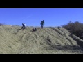 Forage Harvest