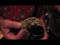 P.A.P.I. (NORE) Feat. Styles P, Ghostface Killah "Visit The "Cannabis Cup" In Amsterdam" Video