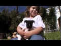 Pet4you.gr: Dogs Toy Fox Terrier - Τοϊ Φοξ Τερριέ