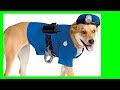 Velorio - Chiste perro policia