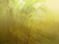 Imee Ooi - Green Tara Mantra