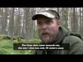 Hunting deer. Filmed and hunted by Kristoffer Clausen