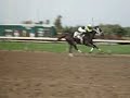 Fort Erie Racetrack News Horse #2 Simple ruler Wins 5th Race 29 sept 2013