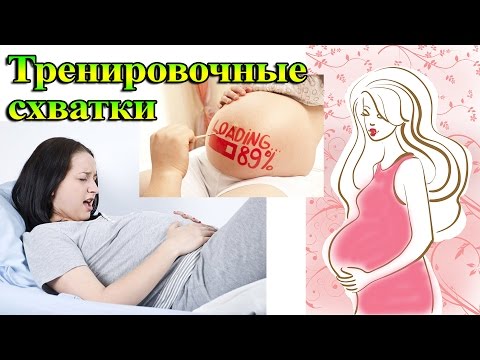 Беременность как отличить схватки от Беременность как отличить схватки от