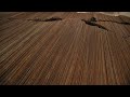 Poetry Makes Nothing Happen: Thoughts on Ai Weiwei from the Indianapolis Museum of Art