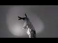 MeLo-X - Handle It (Official Music Video)