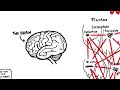 RSA Animate - The Power of Networks