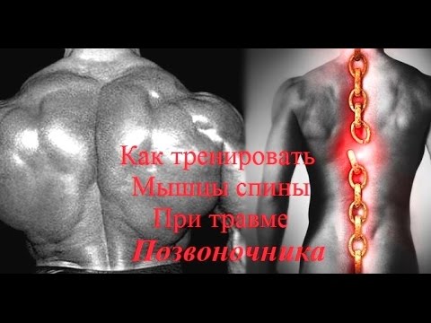 Поясница как тренировать Поясница как тренировать