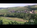 Top French Chefs Share Their Secrets