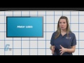 Critical Length of Motor Cables - Tech Tip