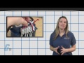 Critical Length of Motor Cables - Tech Tip