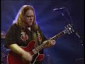 Instrumental Illness - Allman Brothers