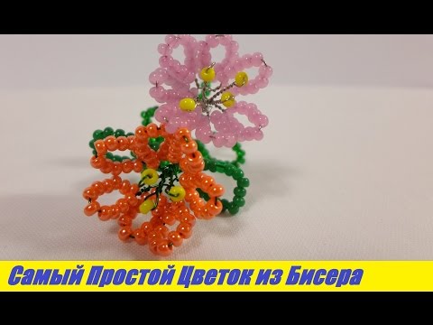 Боинг 737 800 расположение лучших мест и схема салона самолета Бисероплетение для самых-самых начинающих: Цветы и деревья