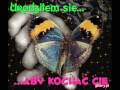 Shout-Tylko dla Ciebie