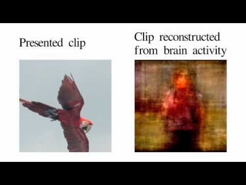 Reconstruction from brain activity - YouTube nsjDnYxJ0bo