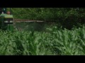 Weed warriors--studying the problem of herbicide resistance