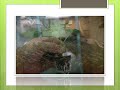 GrowTechUSA.Com - Technical Cultivation & Grow Room Design Consultants