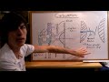 Carburetors - Explained