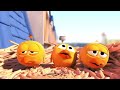 Pigeons - Cute animation cartoon