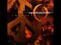 A Perfect Circle - Passive