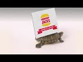 StephanosRex's National Hungry Jack's Ad