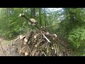 Rückewagen Kesla 305t mit Steyr 8120 //HD// Timbertrailer driving