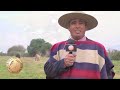 SELLO DE RAZA CABALLOS CHILENOS CRIADERO DOÑA TATI PARTE I.mp4