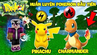 MINECRAFT PIXELMON #1 | TÌM THẤY BÉ PIKACHU, NHÀ THI ĐẤU POKEMON VÀ HUẤN LUYỆN RỒNG LỬA CHAMANDER