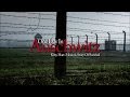 One day in Auschwitz - 2015