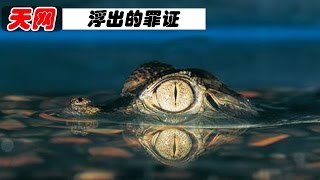 20141008 天网 浮出的罪证