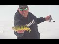 Early Ice Upper Red Lake Walleyes --