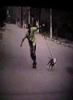 danger game dogs 4
