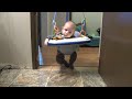 Narcoleptic Bouncing Baby