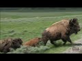 America's National Parks
