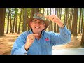 How to read a topographical map