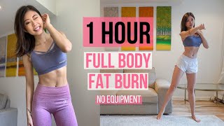 1 HOUR FULL BODY FAT BURN HOME WORKOUT (Warm Up, Arm &amp; Back, Cardio, Ab, Leg &amp; Thigh, Stretch) ~ Emi