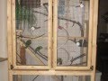 How to build a comfortable inside aviary for small parrots