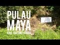 Pulau Maya