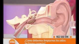 ¿Cómo limpiar correctamente nuestros oídos?