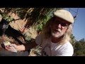 Jorge Cervantes: Lake County Outdoor Garden 2011 (Part 2)